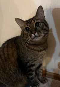 Маша Одоевская