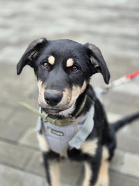 Луна Малышка