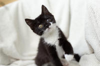 Барби Шугаевская