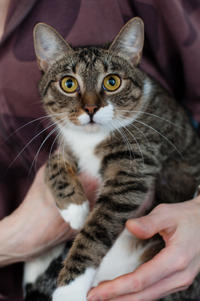 Михалина Татьяновна - кроткая малышка