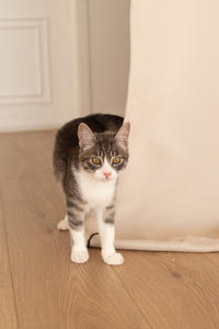 Белочка Веро - Красота! Характер! Личность!