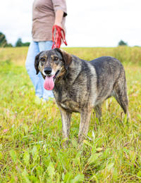 Найдуля Мамуля