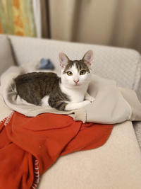 Арбузик полосатый - любовь в полоску!