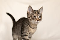 Клеопатра Вах - милая малышка с грустинкой