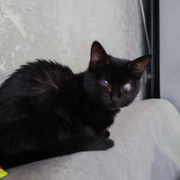 Ночка Дружная