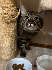 Маша Одоевская