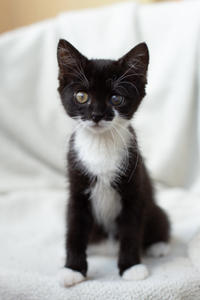 Барби Шугаевская