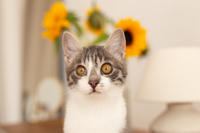 Булочка Веро - ласковая малышка