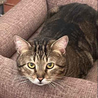 Ричард Бельский