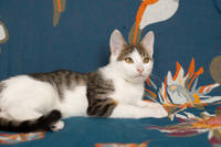 Арбузик полосатый - любовь в полоску!