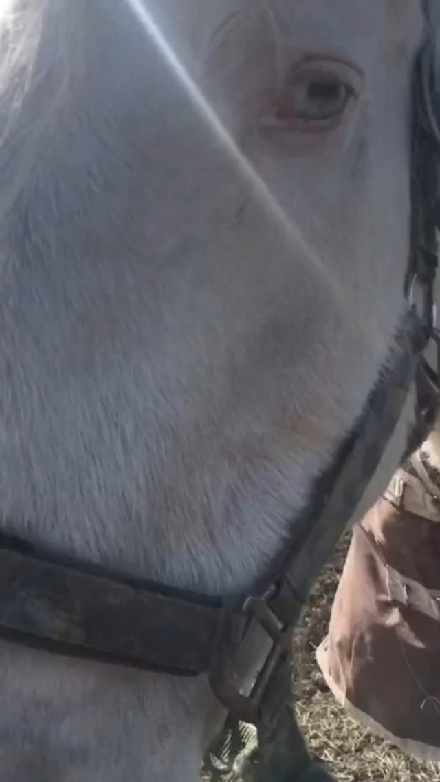 Screenshot_20240415-080813_Video Player.jpg