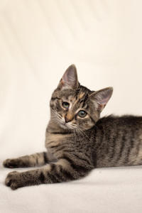 Клеопатра Вах - милая малышка с грустинкой