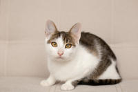 Арбузик полосатый - любовь в полоску!