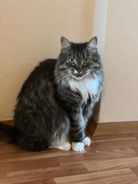 Лиман - красота без слов