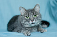 Эйна - зеленоглазая фея