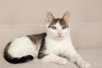 Арбузик полосатый - любовь в полоску!