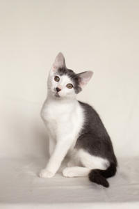 Кронос Вах - милый озорник