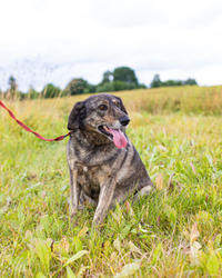 Найдуля Мамуля