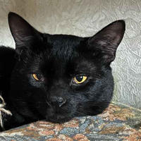 Спейс Бельский