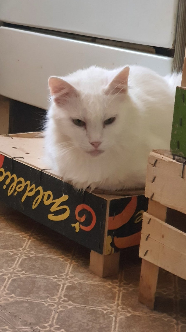 IMG-4de53bd0a509b54b9a4833038d0e3ae0-V.jpg