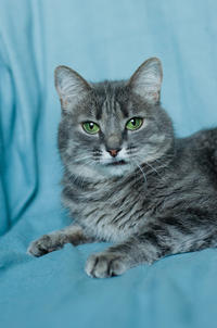 Эйна - зеленоглазая фея