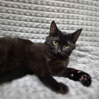     Зара Дачная