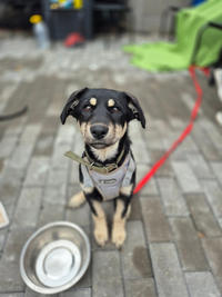 Луна Малышка