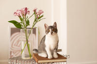 Булочка Веро - ласковая малышка