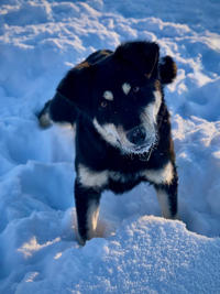 Луна Малышка