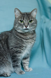 Эйна - зеленоглазая фея