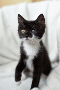 Барби Шугаевская