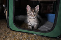 Клеопатра Вах - милая малышка с грустинкой