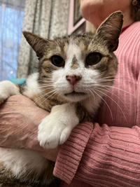 Темка Минчаков