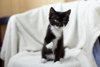 Барби Шугаевская