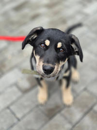 Луна Малышка