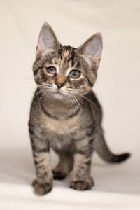 Клеопатра Вах - милая малышка с грустинкой