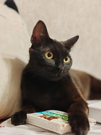 Мариса Дружная