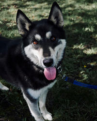 Кай Дружный