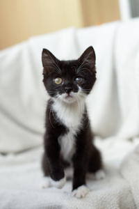 Барби Шугаевская