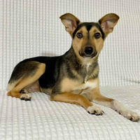 Ляля Смолевичская