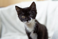 Барби Шугаевская