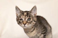 Клеопатра Вах - милая малышка с грустинкой