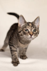 Клеопатра Вах - милая малышка с грустинкой