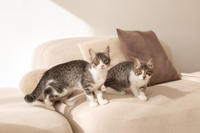 Белочка Веро - Красота! Характер! Личность!