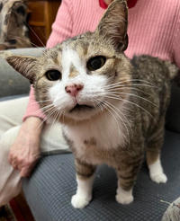 Темка Минчаков