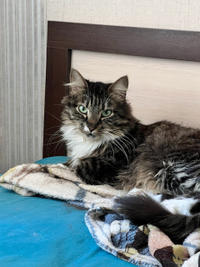 Лиман - красота без слов