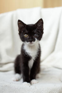 Барби Шугаевская