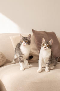 Белочка Веро - Красота! Характер! Личность!