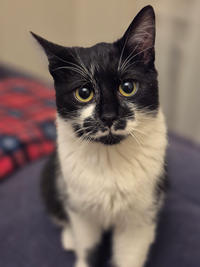 Тёма Дачный