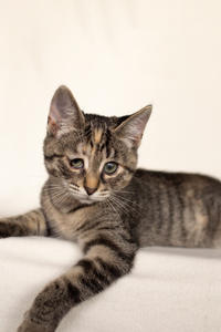 Клеопатра Вах - милая малышка с грустинкой